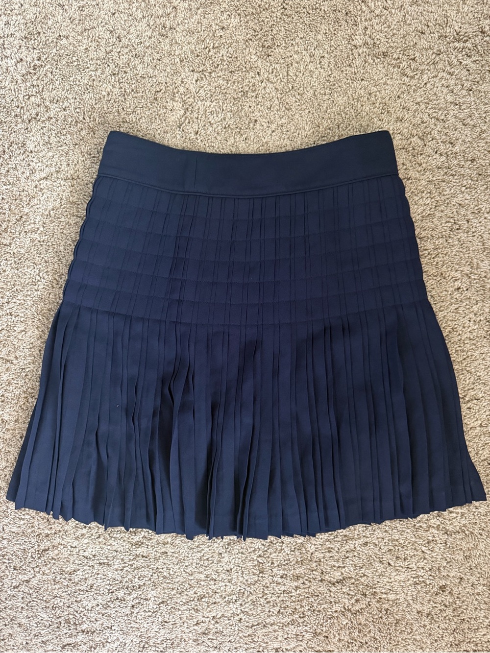 J. Crew Navy Pleated Mini Skirt